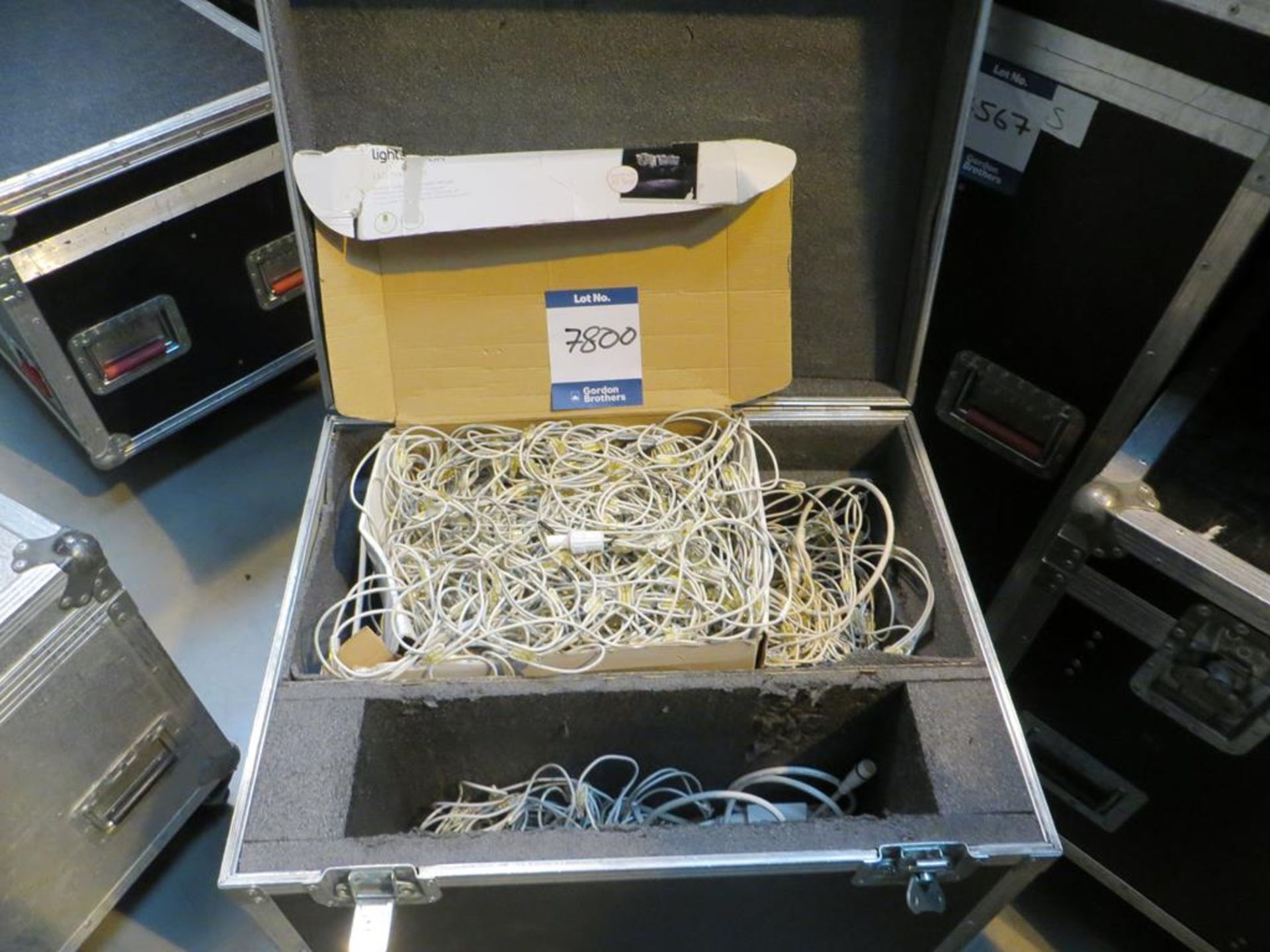 Quantity fairy lights in transit case and cardboard box: Unit C Moorside, 40 Dava Street, Glasgow