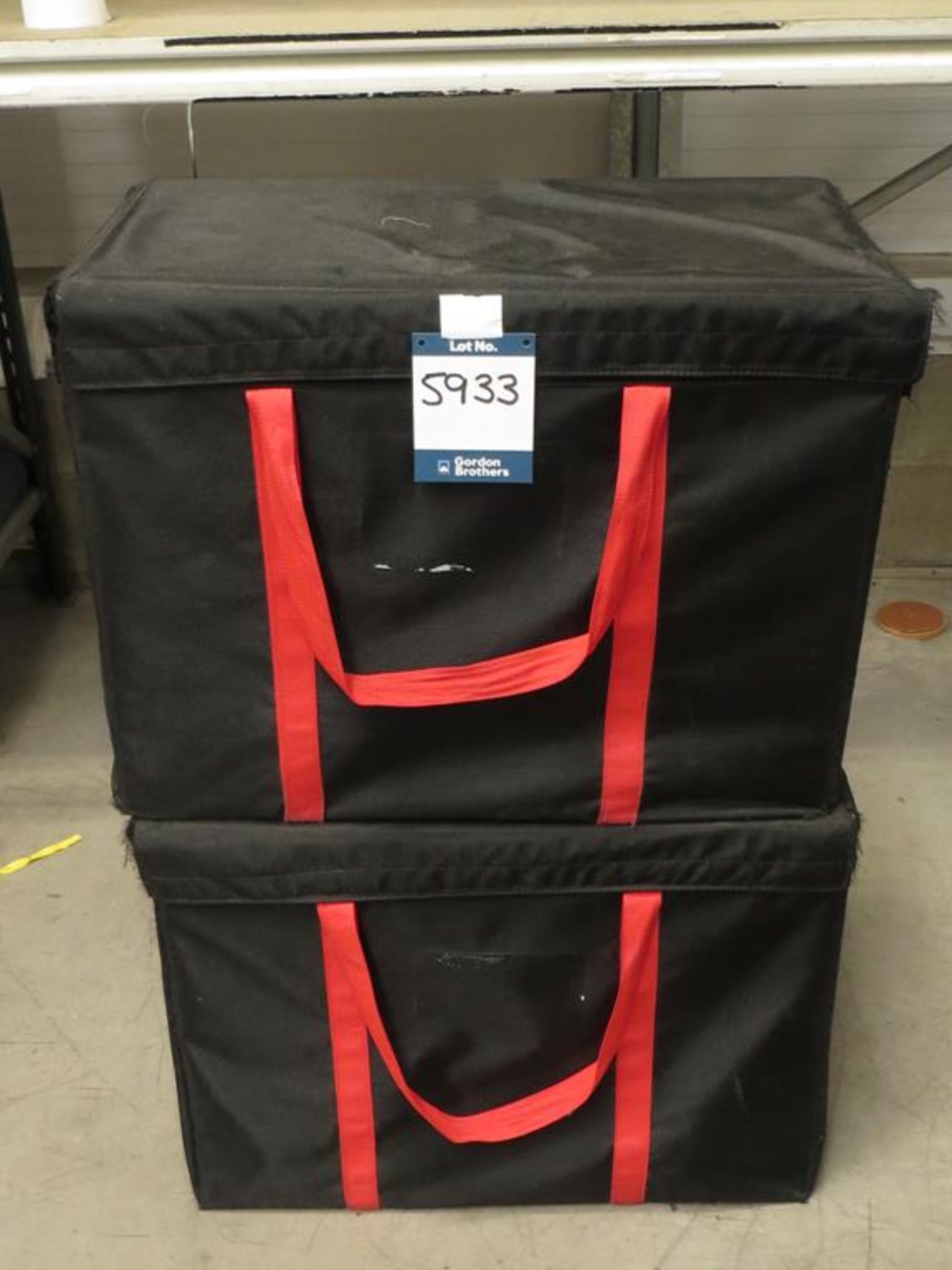 2x No. ply lined carry bags, 710 x 370 x 535: MCL