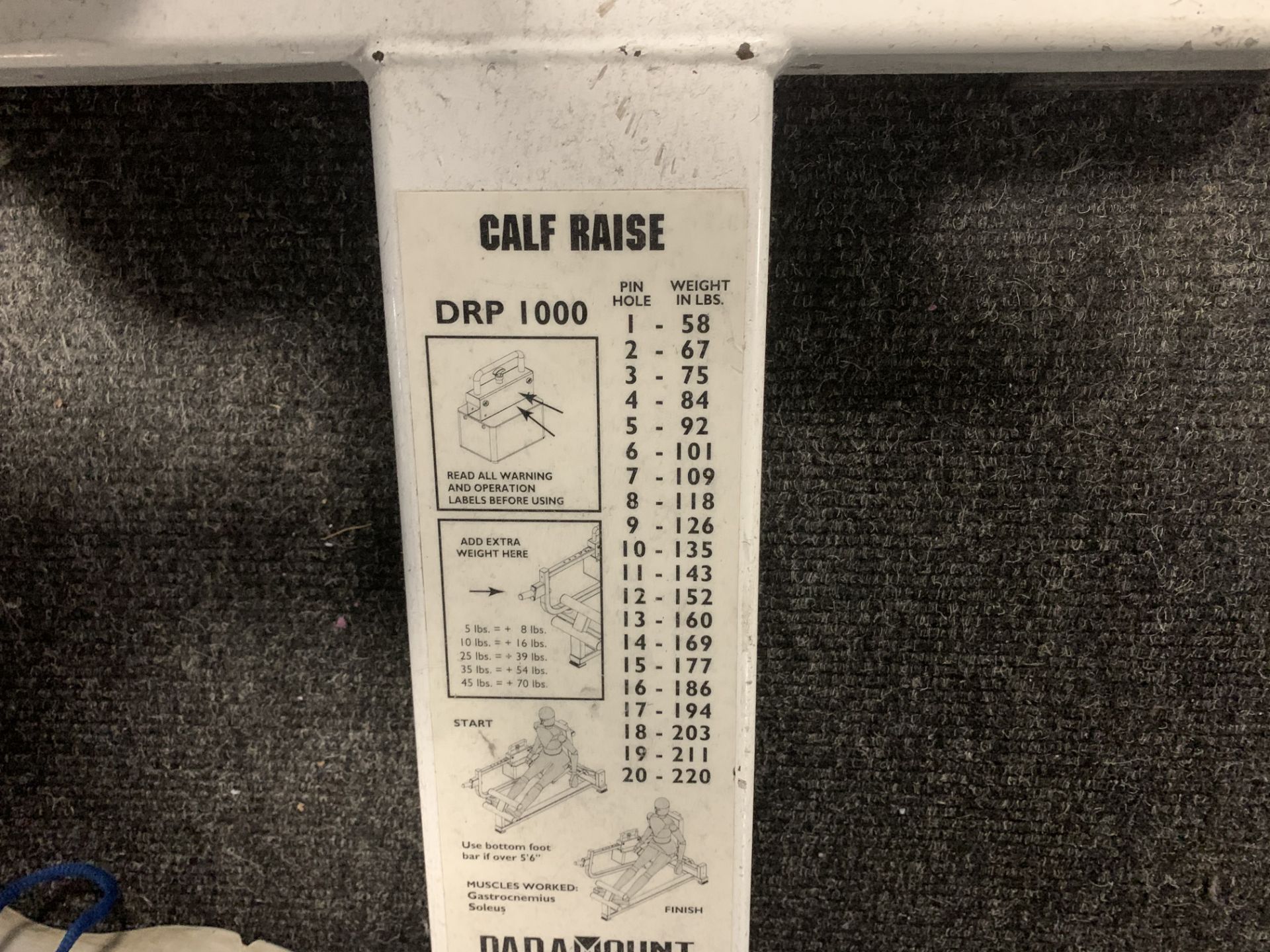 Paramount Calf Raises DRP 1000 Machine - Image 2 of 2