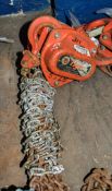 Tiger 1 tonne chain block 5728