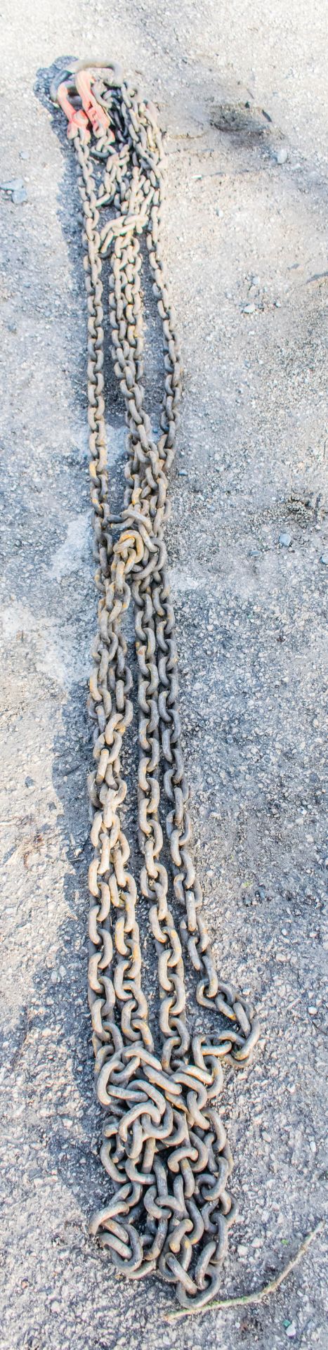 2 leg lifting chain