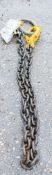 10mm Grade 8 single leg lifting chain FLG468