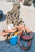 Single leg 5 tonne 6 metre lifting chain L098M655 CO