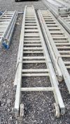 Double stage extending aluminium ladder