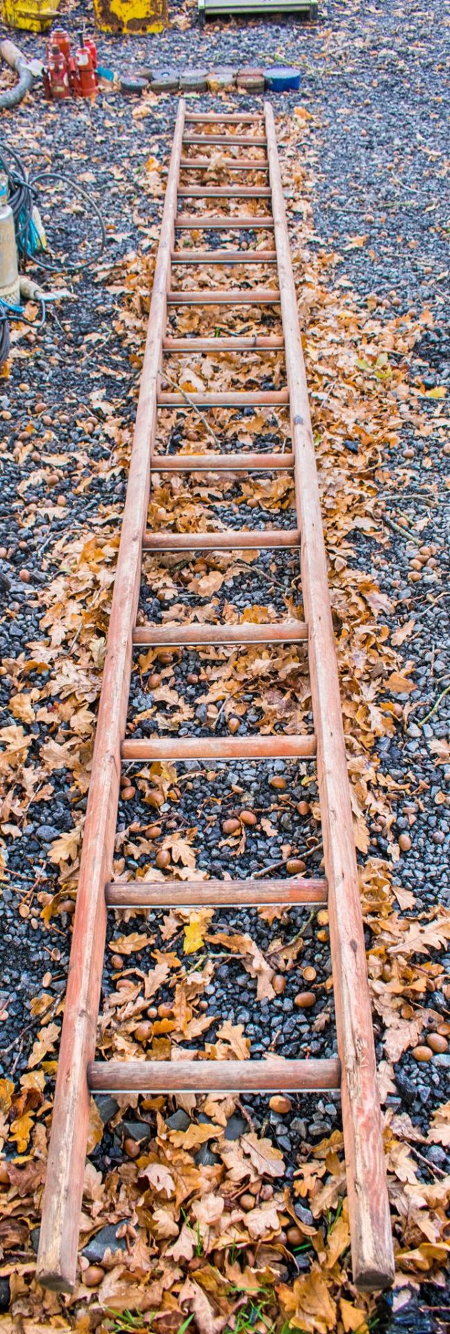 Timber ladder