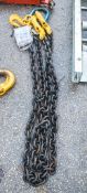 2 leg grade 8 13mm lifting chain A669625