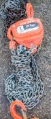 Tiger 1 tonne chain block A946213