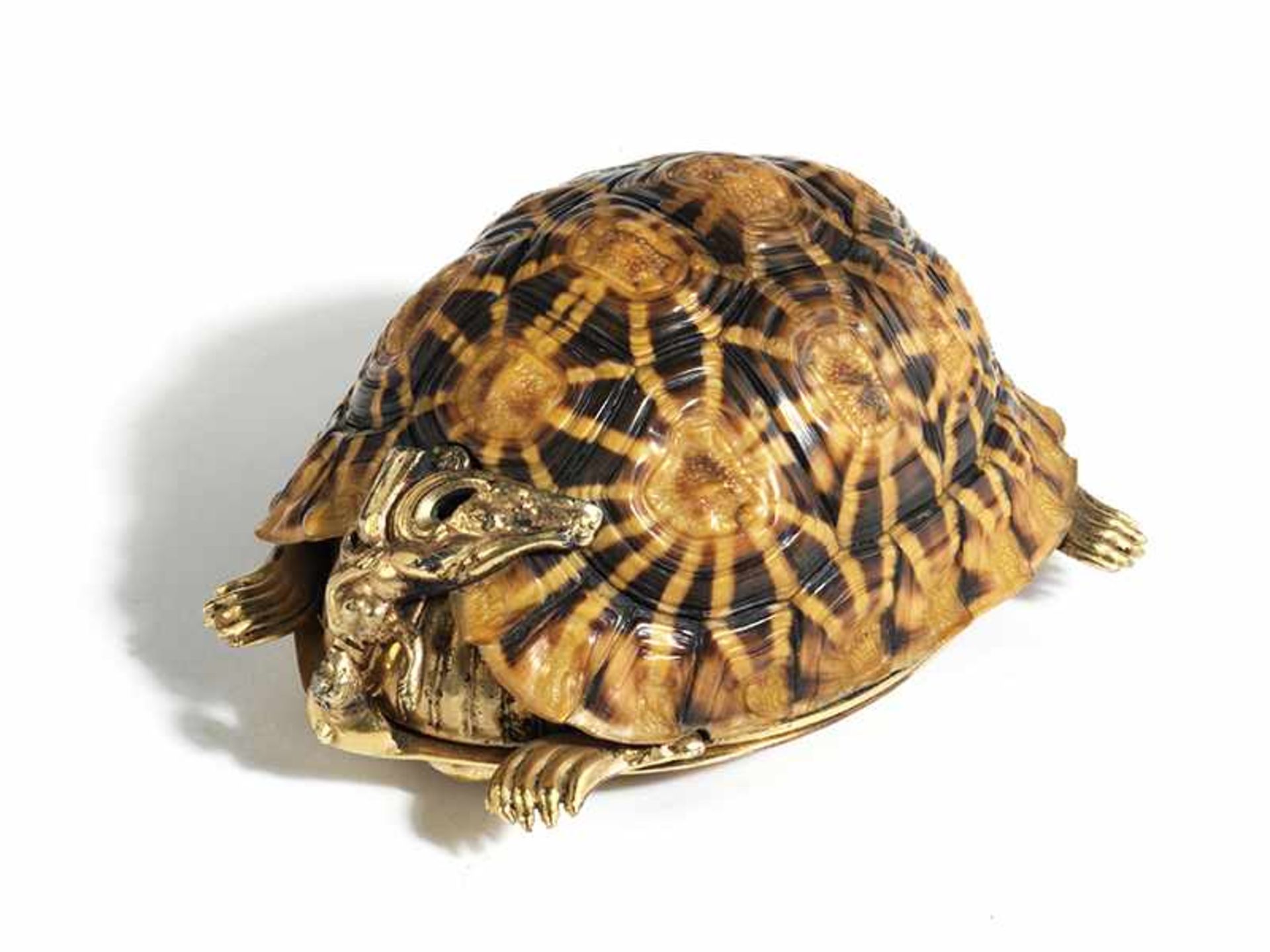 Schnupftabakdose in Form einer SchildkröteLänge: 6,7 cm. Wohl Augsburg, um 1600. Aus einem