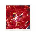 James Rosenquist, 1933 Grand Forks/ North Dakota "" 2017 Lebt in New York und Tampa/ Florida. GIFT