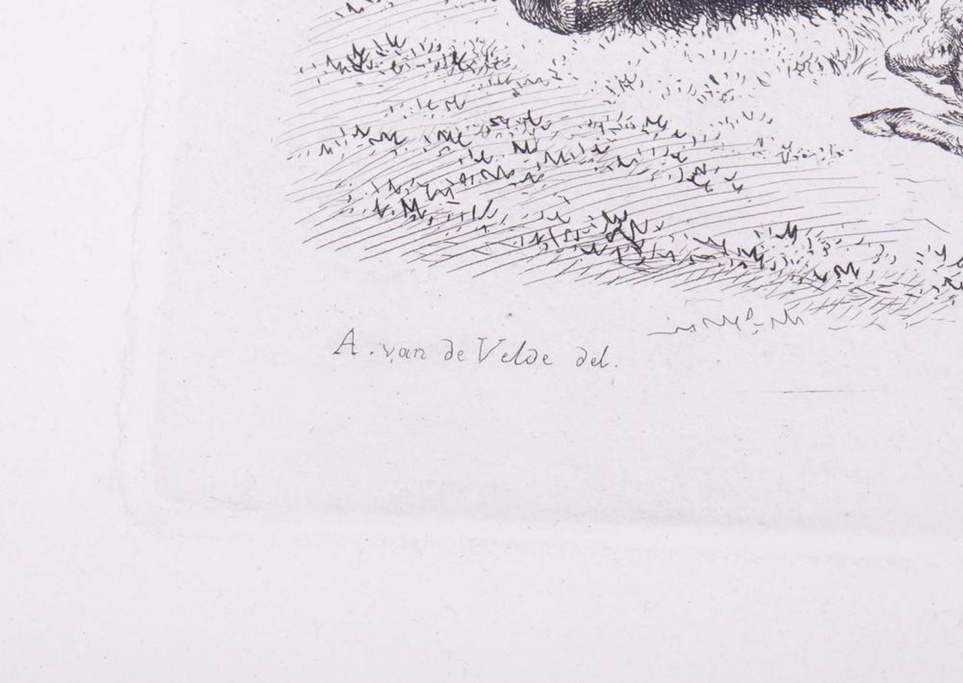 Adam von Bartsch (1757, Vienna - 1821 ibid)8 etchings, animals, partly marked in plate "A. - Bild 4 aus 8