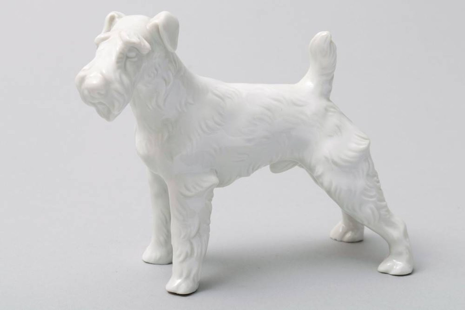 Terrier Augarten, Vienna, 20th C., standing Foxterrier, porcelain, makers mark, H: 9cm, 1 small chip