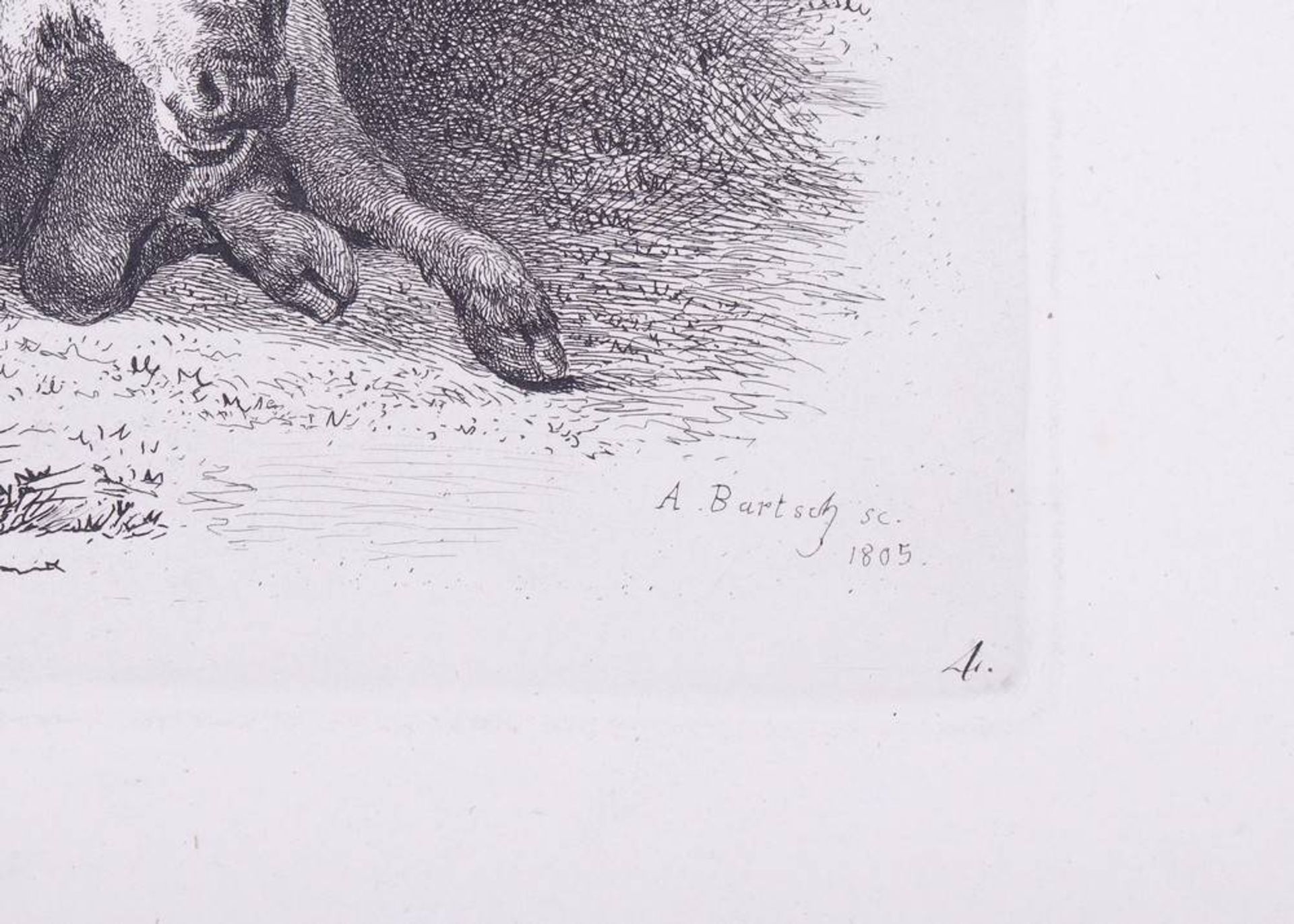 Adam von Bartsch (1757, Vienna - 1821 ibid)8 etchings, animals, partly marked in plate "A. - Bild 5 aus 8