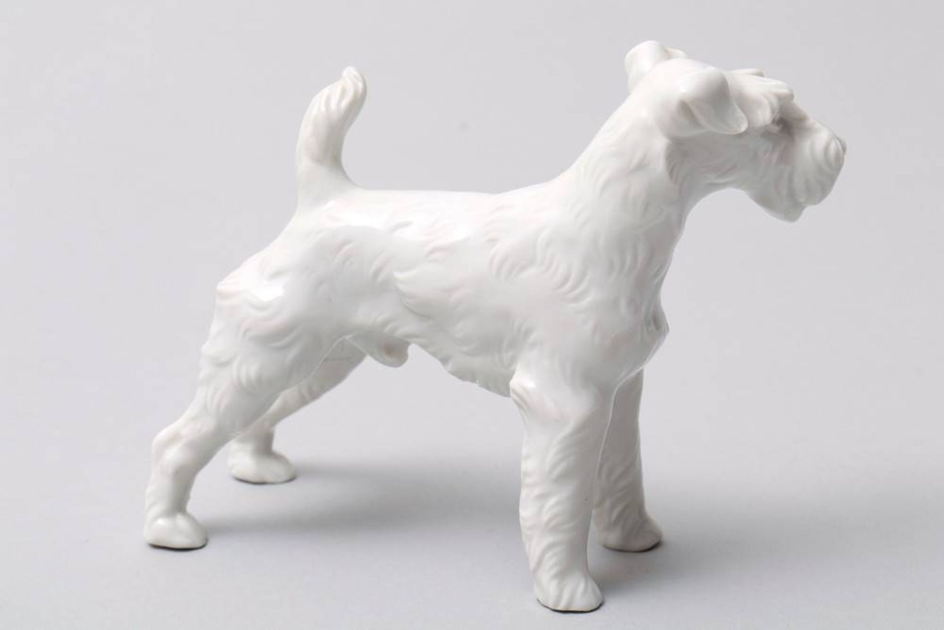 Terrier Augarten, Vienna, 20th C., standing Foxterrier, porcelain, makers mark, H: 9cm, 1 small chip - Bild 2 aus 4