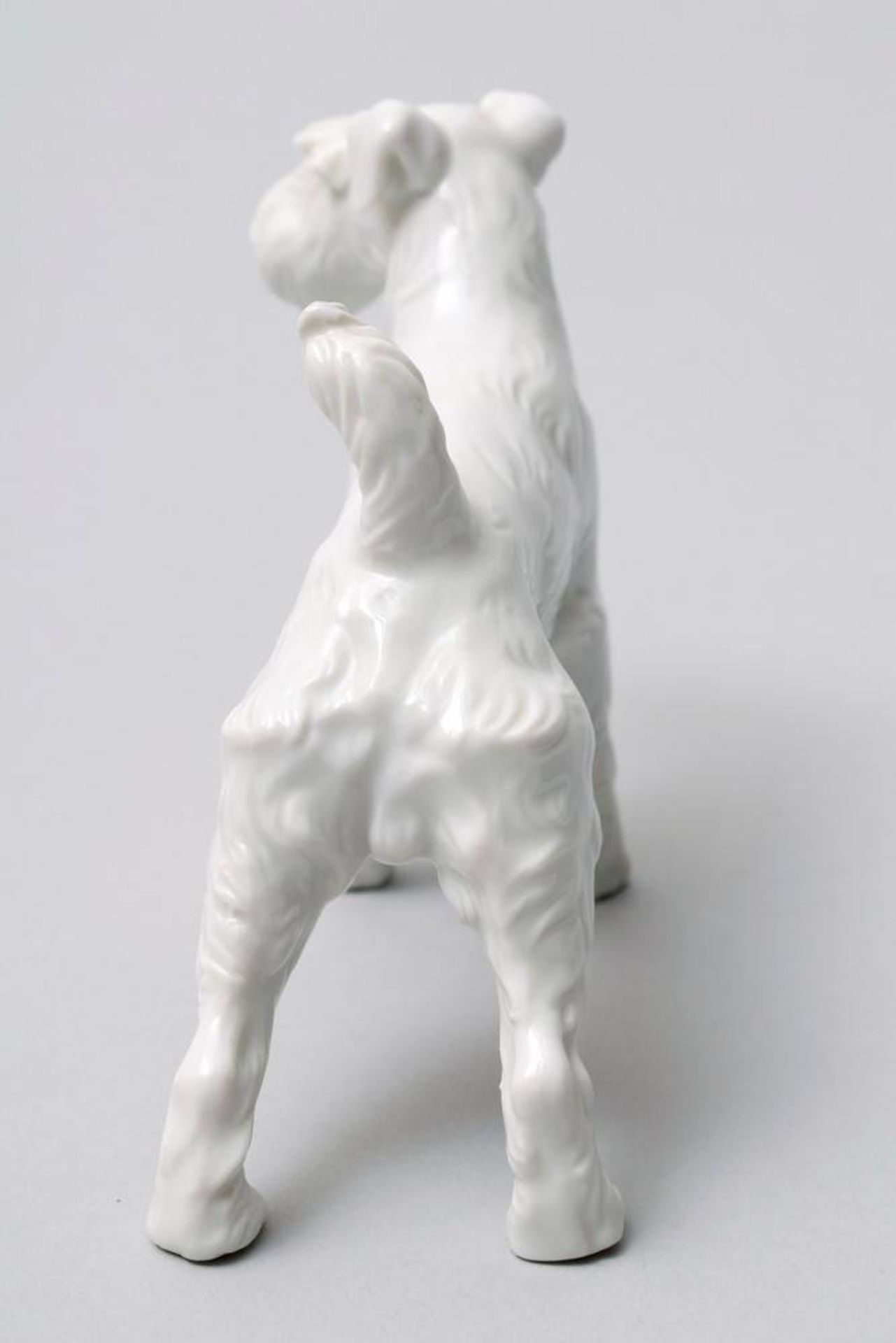 Terrier Augarten, Vienna, 20th C., standing Foxterrier, porcelain, makers mark, H: 9cm, 1 small chip - Bild 3 aus 4