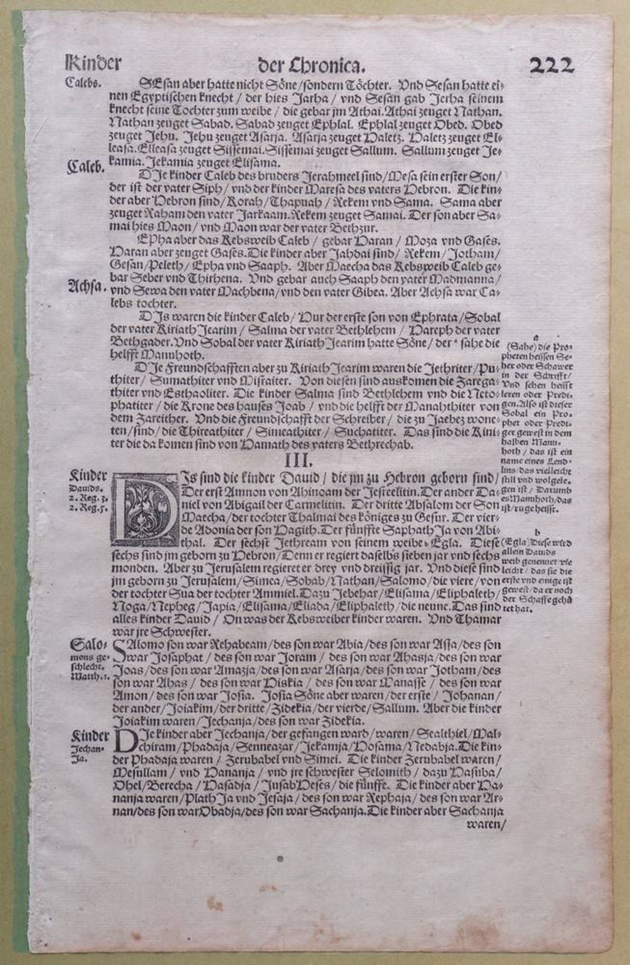 Einzelblatt aus einer Luther-Bibel, um 1600S. 221/222, ca. 33x22 cm, gerahmt (ca. 47x32cm), licht- - Bild 2 aus 2