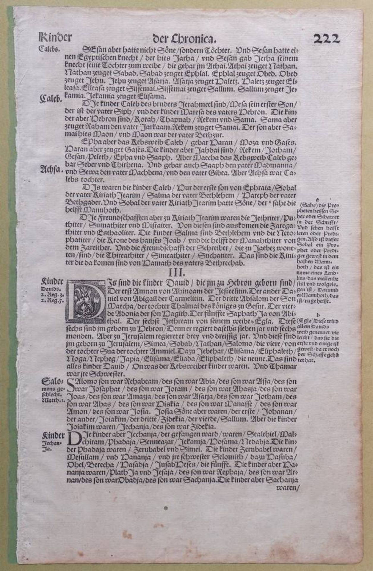 Einzelblatt aus einer Luther-Bibel, um 1600 S. 221/222, ca. 33x22 cm, gerahmt (ca. 47x32cm), licht- - Bild 2 aus 2