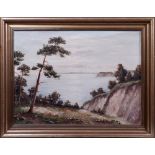 A. Steindl Blick über eine Steilküste aufs Meer, Öl auf Leinwand, u.l. sign., ca. 62x81cm,