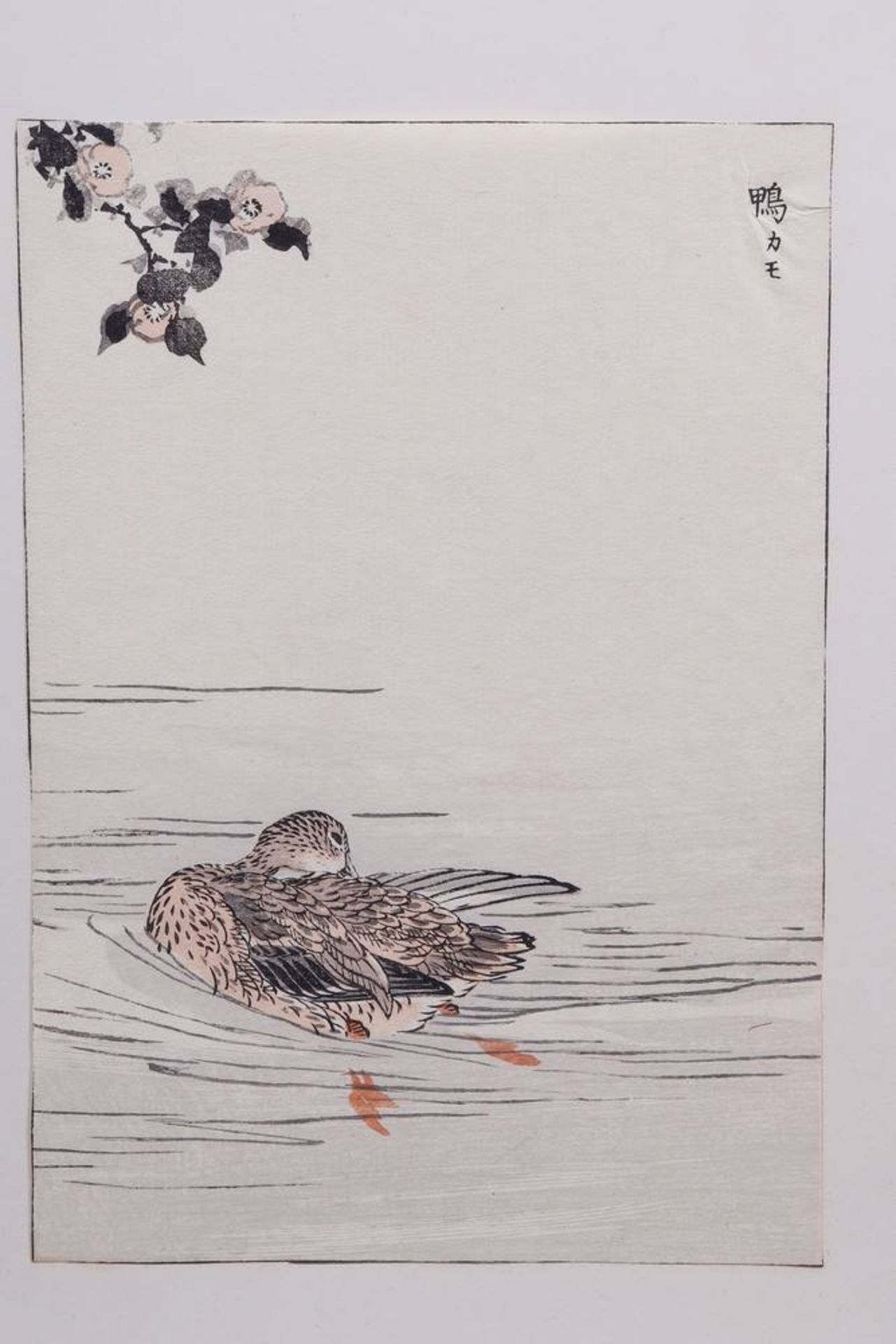 Kōno Bairei (1844 in Kyoto - 1895 ebenda), 7 Farbholzschnitte - Bild 14 aus 17