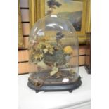 An early 20th Century display glass dome with fruit decoration inside, height approx. 40cm.