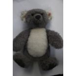 Steiff Koala Teddy Bear limited edition number 01383 of 2000
