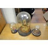 Two Victorian glass domes, one with wax figure and a 20th Century glass dome with flowers
