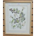 ****AUCTIONEER TO ANNOUNCE LOT WITHDRAWN**** Brenda W. Paddy, three botanical watercolour studies,