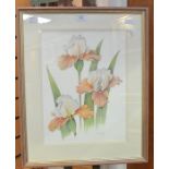 B W Paddy, British, 20th Century, watercolour of Irises, 38 x 29cm, framed and glazed