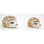Two Royal Crown Derby paperweights, comprising 'Hedgehog Large', with gold stopper and 'Bramble',