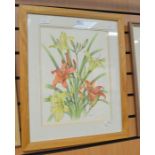 B W Paddy, British, 20th Century, watercolour of Iris 'Hemerocallis Hybrids', 38 x 29cm, framed
