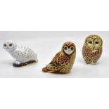 Three boxed Royal Crown Derby paperweights, Gold stoppers, Snowy Owl, Barn Owl and Short Eared