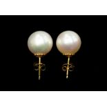 A pair of South Sea cultured pearl earrings, each measure approx 12mm, white with pink/green