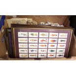 Collection of tea cards and cigarette cards framed and unframed along with some postcards.