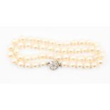 A single strand cultured pearl necklace fitted with 9ct white clasp, each pearl hand knotted, approx