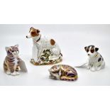 Four boxed Royal Crown Derby paperweights, Jackie Dog, Sleeping Kitten, Sitting Puppy, and Sitting