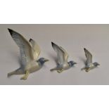 Poole pottery graduated set of 3 flying seagulls, designed and modelled by John Adams assisted by
