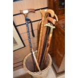 Log basket with a collection of walking sticks