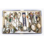 A collection of assorted silver souvenir spoons, mostly Sterling and '800' grade, of various