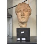 A chalk bust of a Greek/Roman lady approx. 41cm
