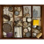 A table top specimen display cabinet with stone and natural specimens, one labelled Ruskin