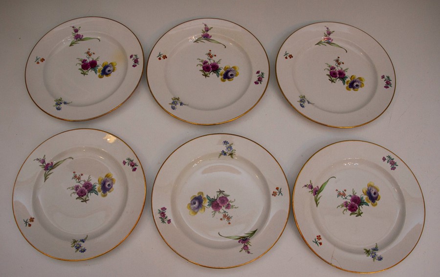 A set of mid nineteenth century Furnival Pottery printed and painted floral plates, circa 1850-70.