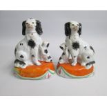 A Pair of Staffordshire seated Spaniels and Puppies, sitting on orange cushioned basses. Date: circa