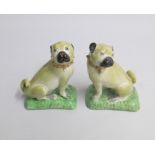 A pair of Derby Porcelain Pug Dogs sitting on green bases. Date: circa 1815   Painted 27. Size: 9.