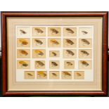 Land & Water Salmon Flies. George M. Kelson. Collection of 48 original chromolithographic cards with