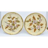 A pair of Derby Osmaston Road cabinet plates, hand painted with flowering foliage on a blush ivory