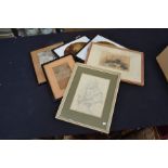 A group of pictures including 19th Century prints and engravings along with later watercolours.