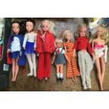 A collection of assorted Sindy dolls and others some damage to dolls,, including a range of clothes,