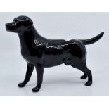 Border Fine Arts labrador and pup, Beswick labrador "Solomon of Wendover", Beswick cat and Branksome