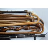 A collection of assorted walking sticks, canes and swagger sticks, late 19th Century and later,