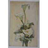Early 20th Century, British School, still life of lilies, oil on board, signed H A Busby l r,