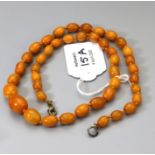 A graduated oval amber bead necklace, approximately 56cm, 23gm Holloway's do not guarantee amber as